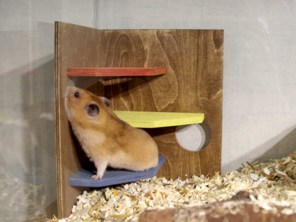 Kiipeilynurkka hamstereille, gerbiileille ja hiirille