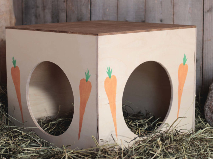 Kotipesät isojen kanien pesämökki porkkanan kuvilla.