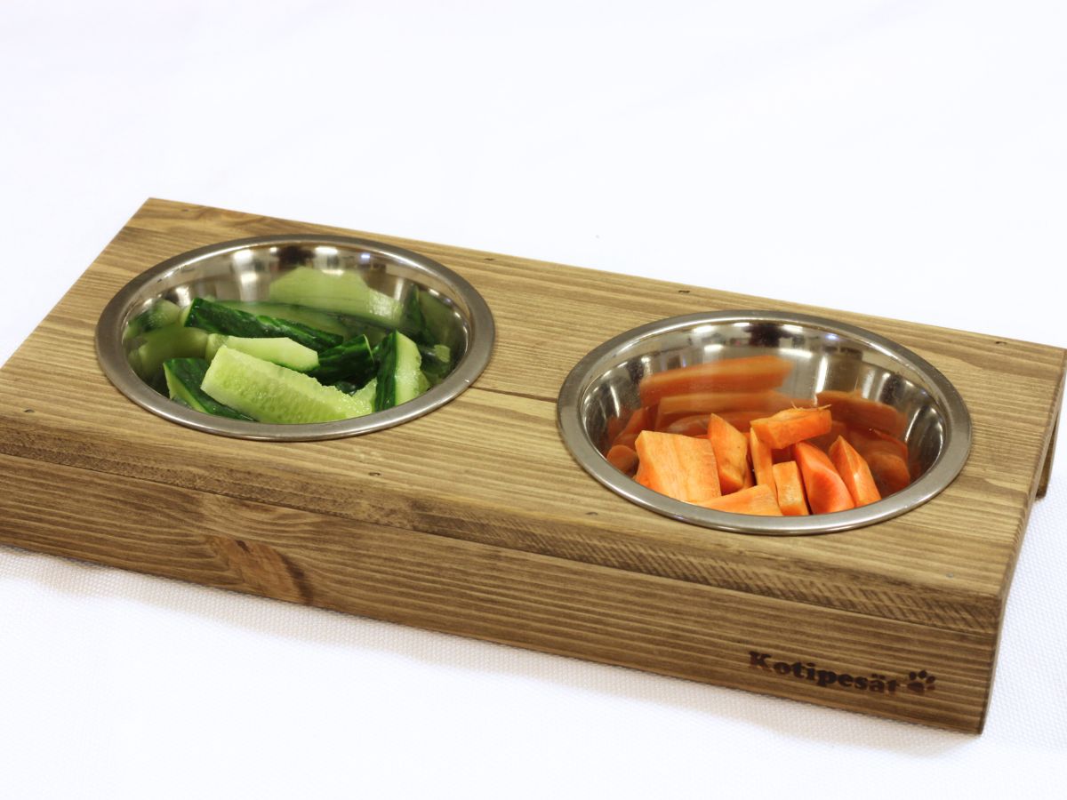 Kaunis ruokailutaso lemmikille