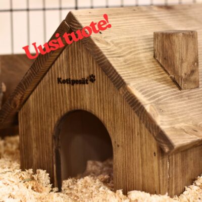 Tupa deguille ja kesyrotille